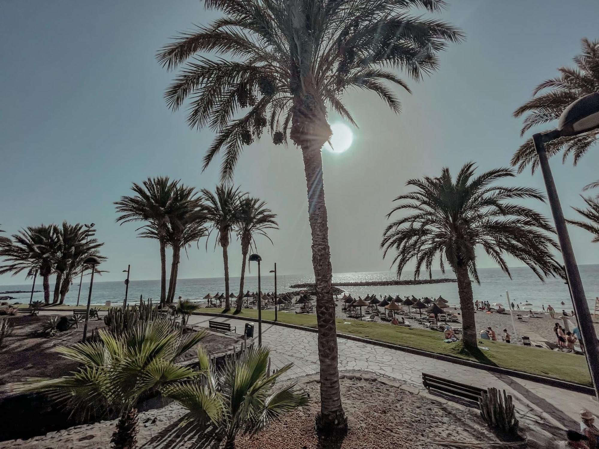Studios CC Victoria Ocean View Playa de las Americas  Exterior foto